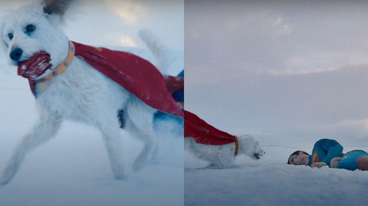 superman dog krypto